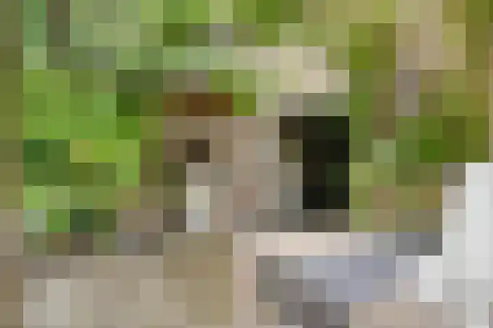 De Hovel 11 Berlicum thumbnail 51