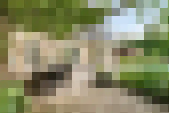 De Hovel 11 Berlicum thumbnail 52