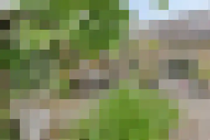 De Hovel 11 Berlicum thumbnail 53