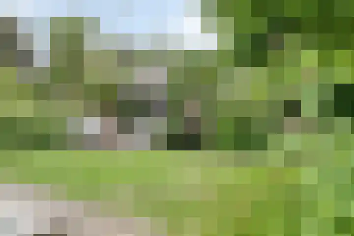 De Hovel 11 Berlicum thumbnail 54