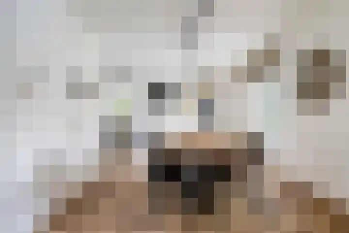 De Hovel 11 Berlicum thumbnail 6