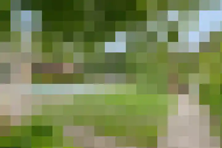 De Hovel 11 Berlicum thumbnail 60