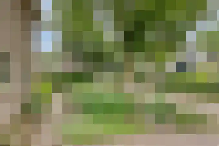 De Hovel 11 Berlicum thumbnail 67