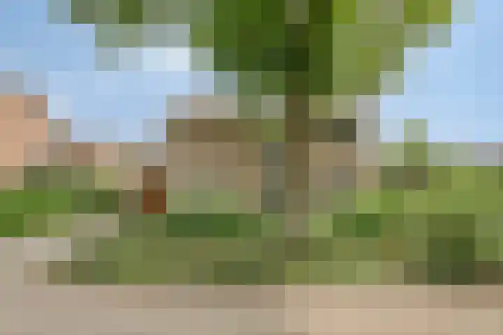 De Hovel 11 Berlicum thumbnail 69