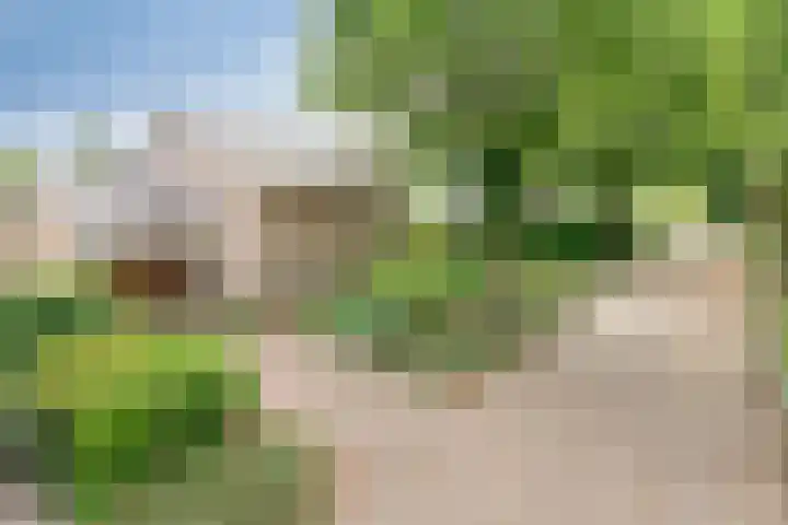 De Hovel 11 Berlicum thumbnail 71