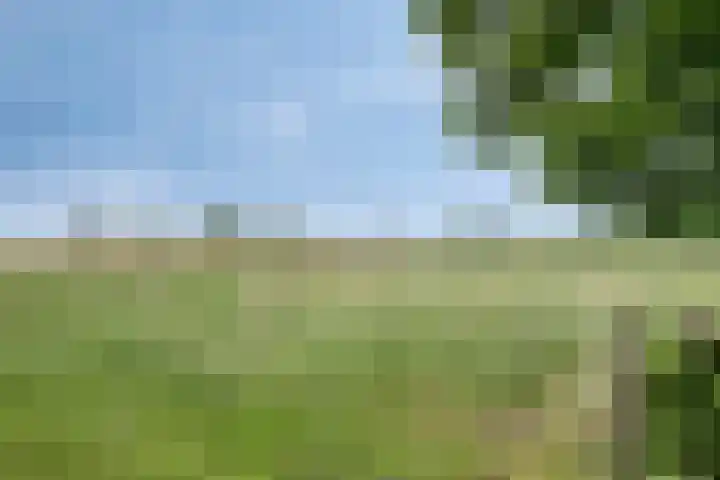De Hovel 11 Berlicum thumbnail 73