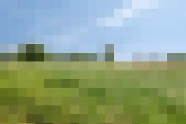 De Hovel 11 Berlicum thumbnail 74
