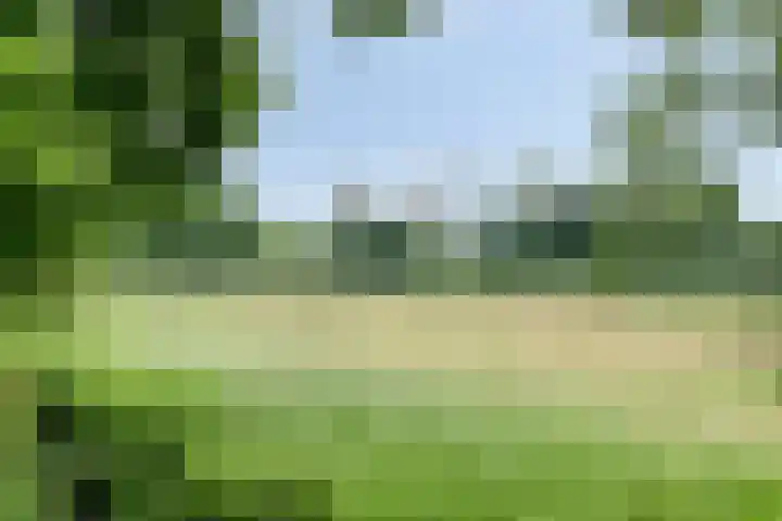 De Hovel 11 Berlicum thumbnail 75