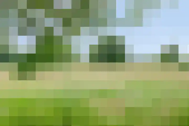 De Hovel 11 Berlicum thumbnail 76