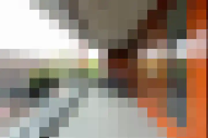 De Hovel 30 01 Goirle thumbnail 11