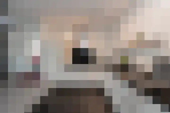 De Hovel 30 01 Goirle thumbnail 22