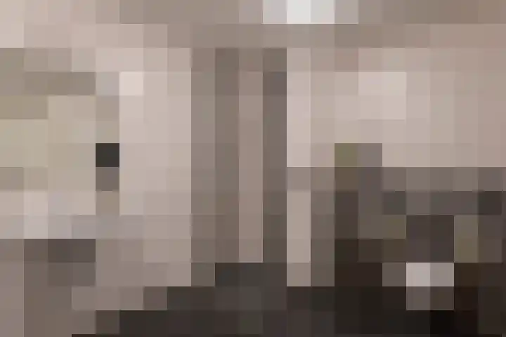 De Hovel 30 01 Goirle thumbnail 32