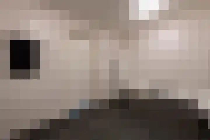 De Hovel 30 01 Goirle thumbnail 35
