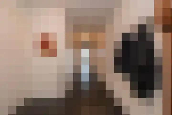 De Hovel 30 01 Goirle thumbnail 4