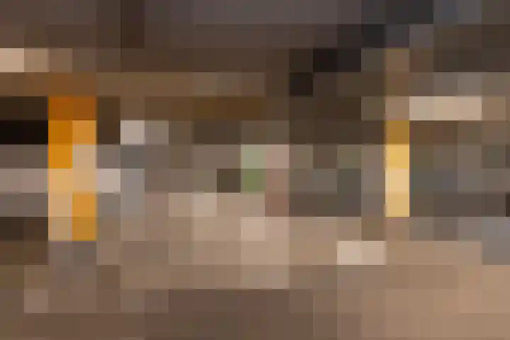 De Hovel 30 01 Goirle thumbnail 43