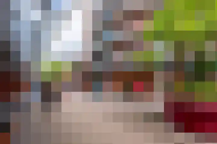 De Hovel 30 01 Goirle thumbnail 49