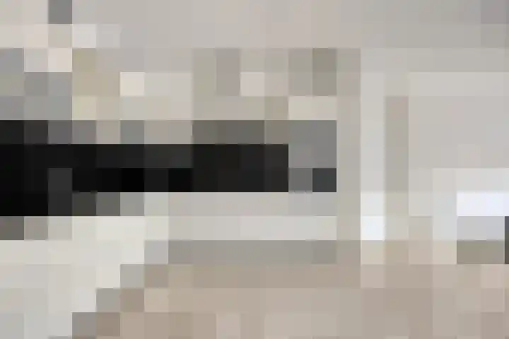 De Hovel 30 04 Goirle thumbnail 13