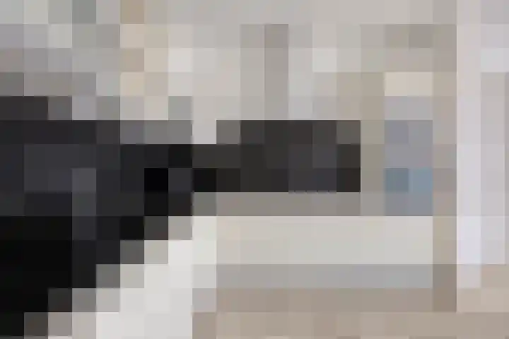 De Hovel 30 04 Goirle thumbnail 14