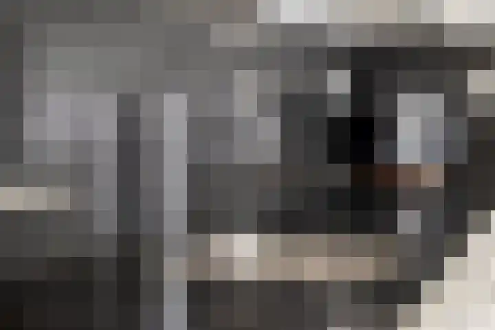 De Hovel 30 04 Goirle thumbnail 15