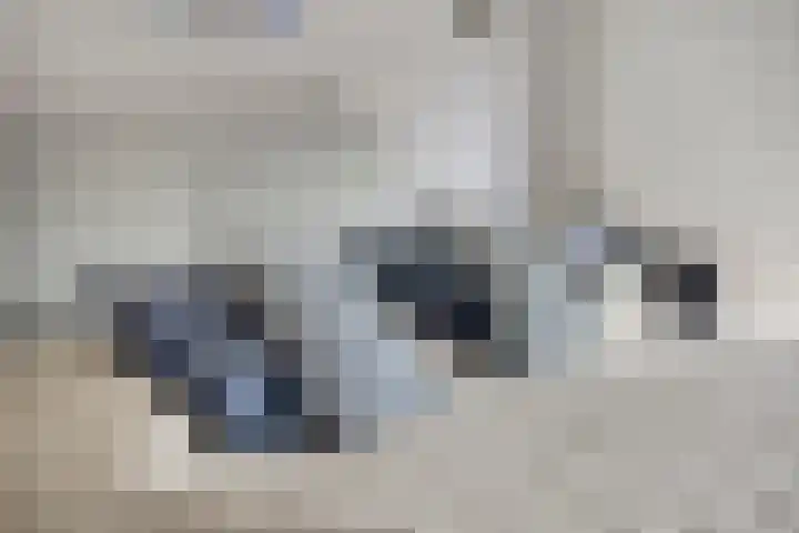 De Hovel 30 04 Goirle thumbnail 18