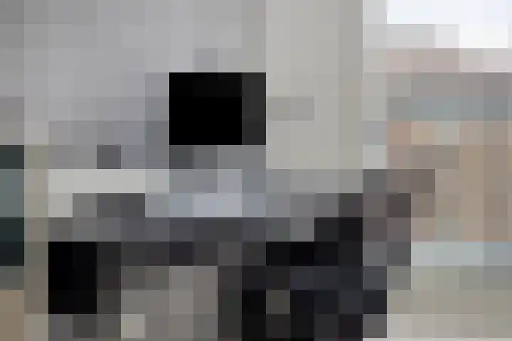 De Hovel 30 04 Goirle thumbnail 20