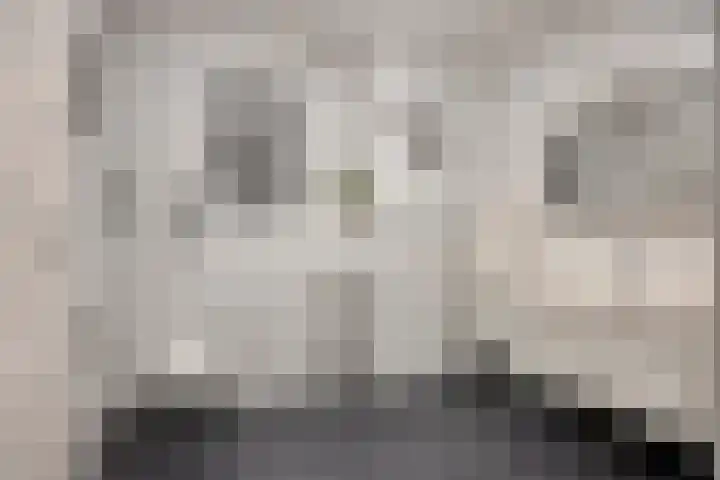 De Hovel 30 04 Goirle thumbnail 24