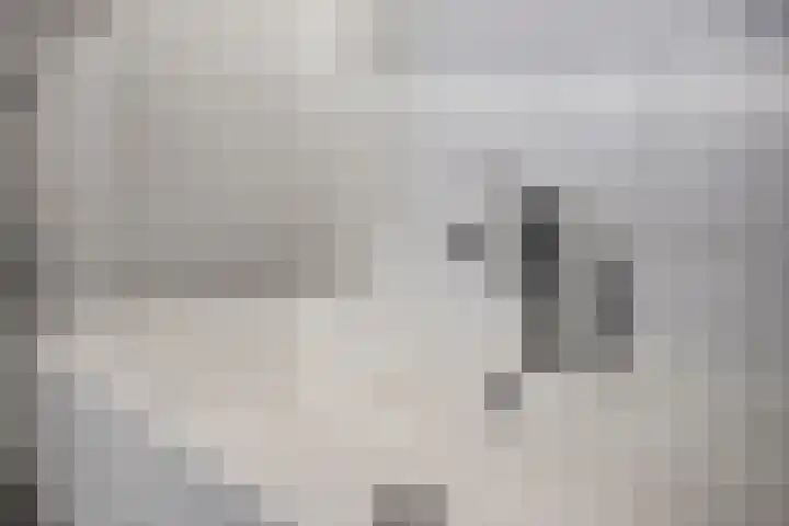De Hovel 30 04 Goirle thumbnail 26