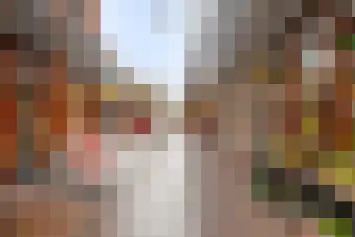 De Hovel 30 04 Goirle thumbnail 41