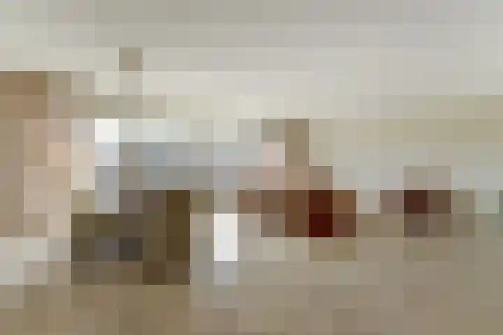 De Hovel 30 11 Goirle thumbnail 10