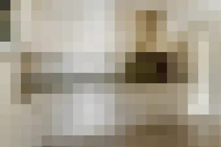 De Hovel 30 11 Goirle thumbnail 14