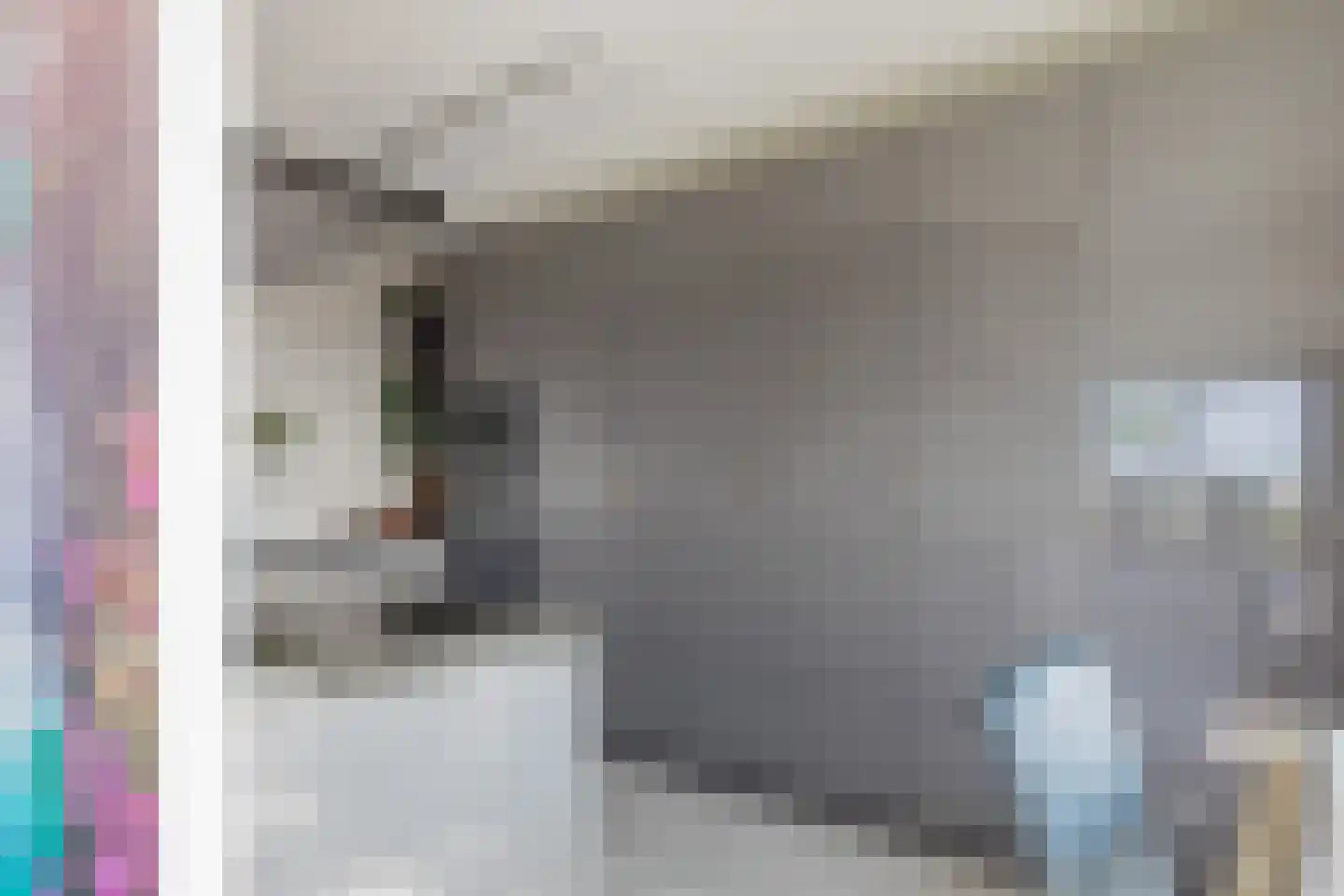 De Hoven 101 Heemskerk thumbnail 14