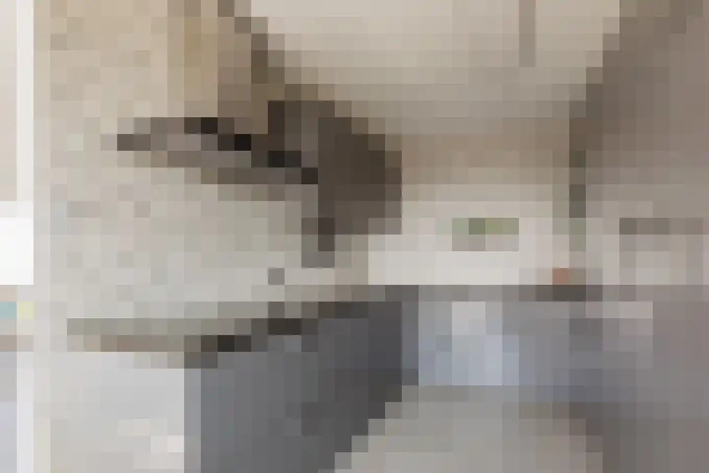 De Hoven 101 Heemskerk thumbnail 15