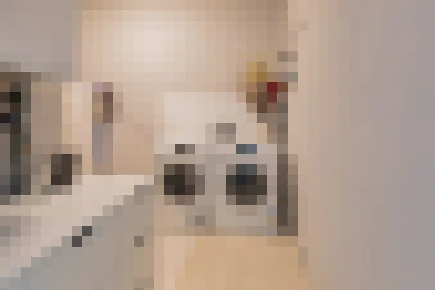 De Hoven 101 Heemskerk thumbnail 44
