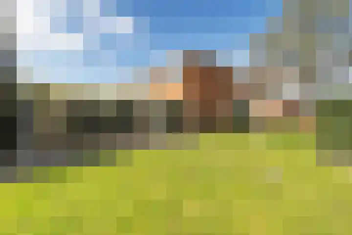 De Hoven 102 in Zwartemeer