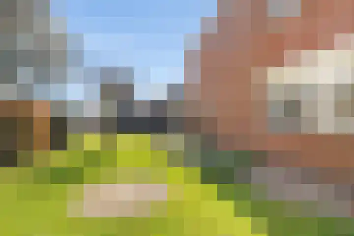 De Hoven 102 Zwartemeer thumbnail 19