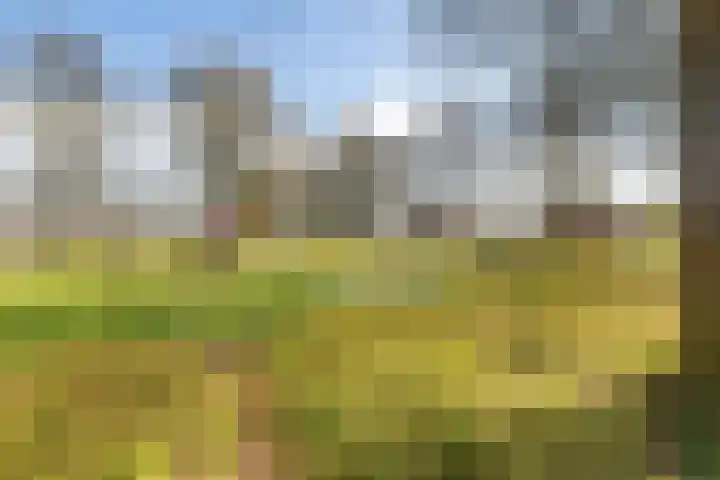 De Hoven 102 Zwartemeer thumbnail 21