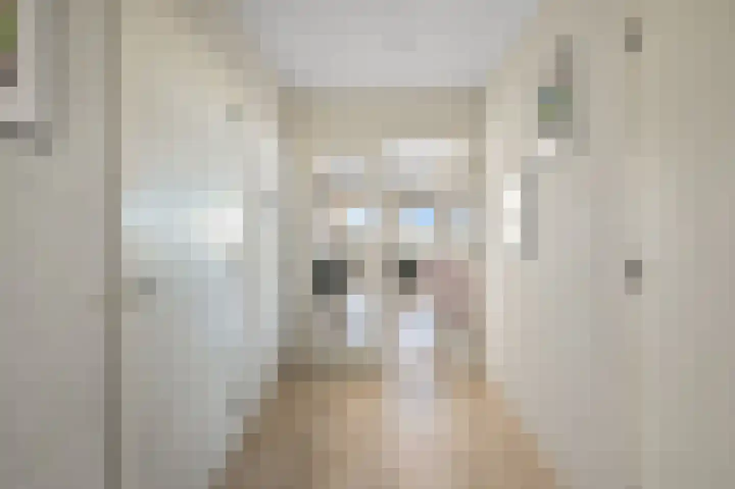 De Hoven 103 Heemskerk thumbnail 10