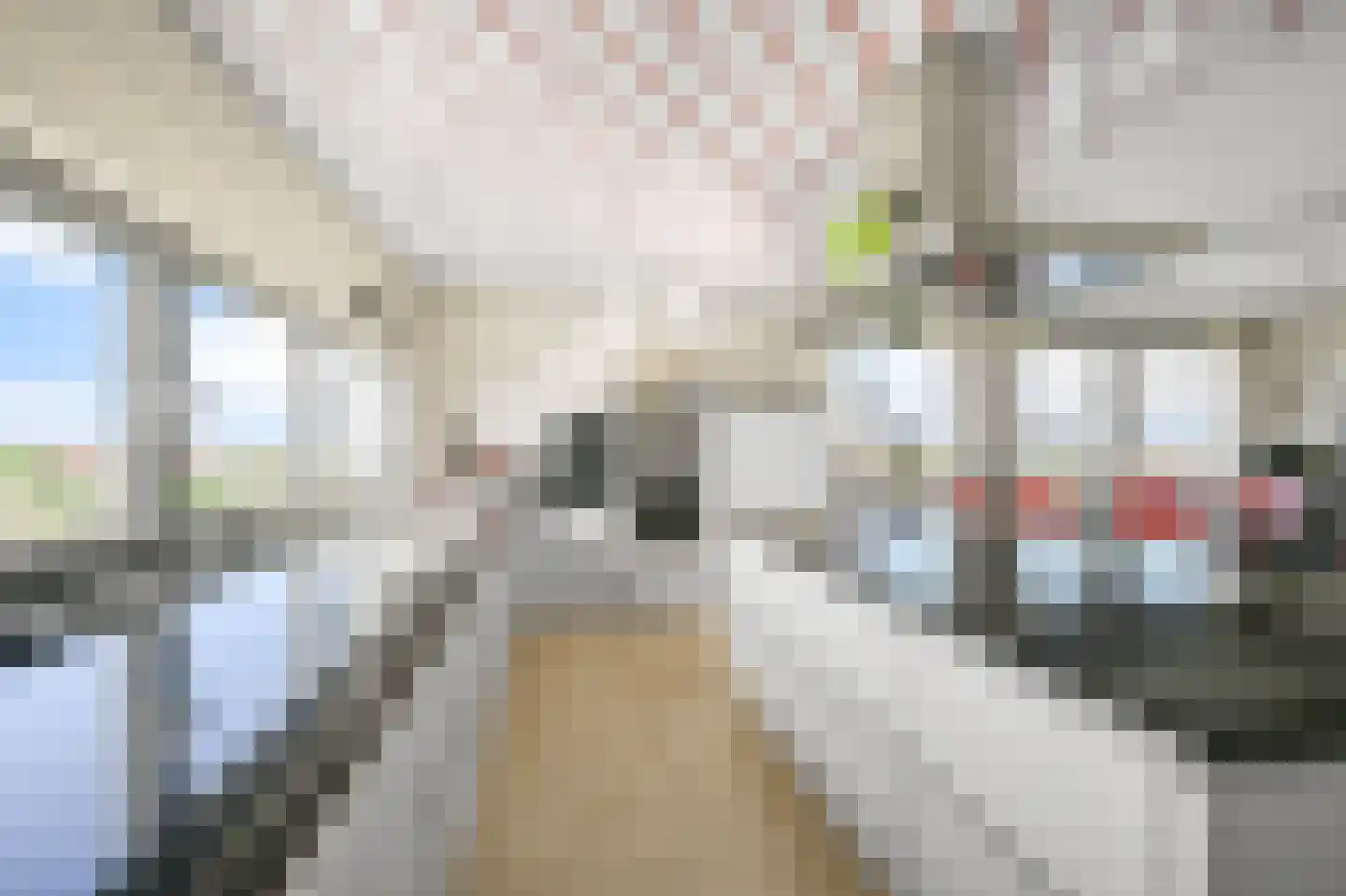 De Hoven 103 Heemskerk thumbnail 16