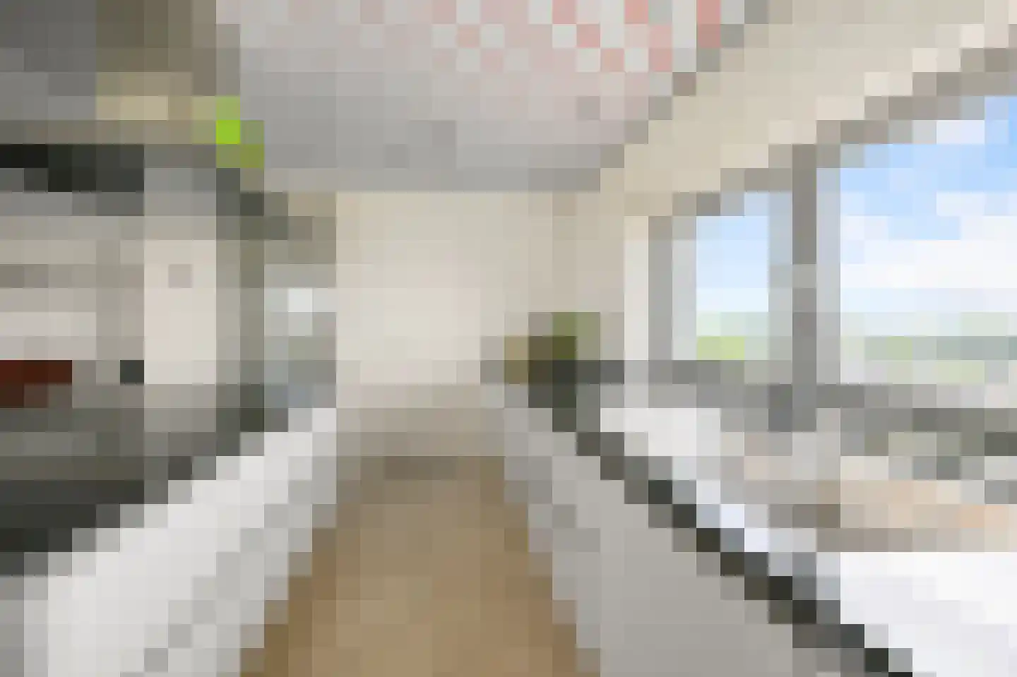 De Hoven 103 Heemskerk thumbnail 17