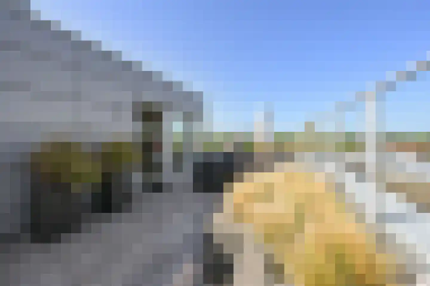 De Hoven 103 Heemskerk thumbnail 25