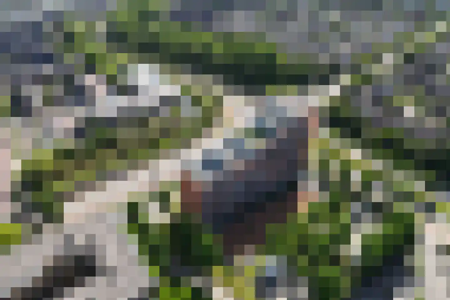 De Hoven 103 Heemskerk thumbnail 45