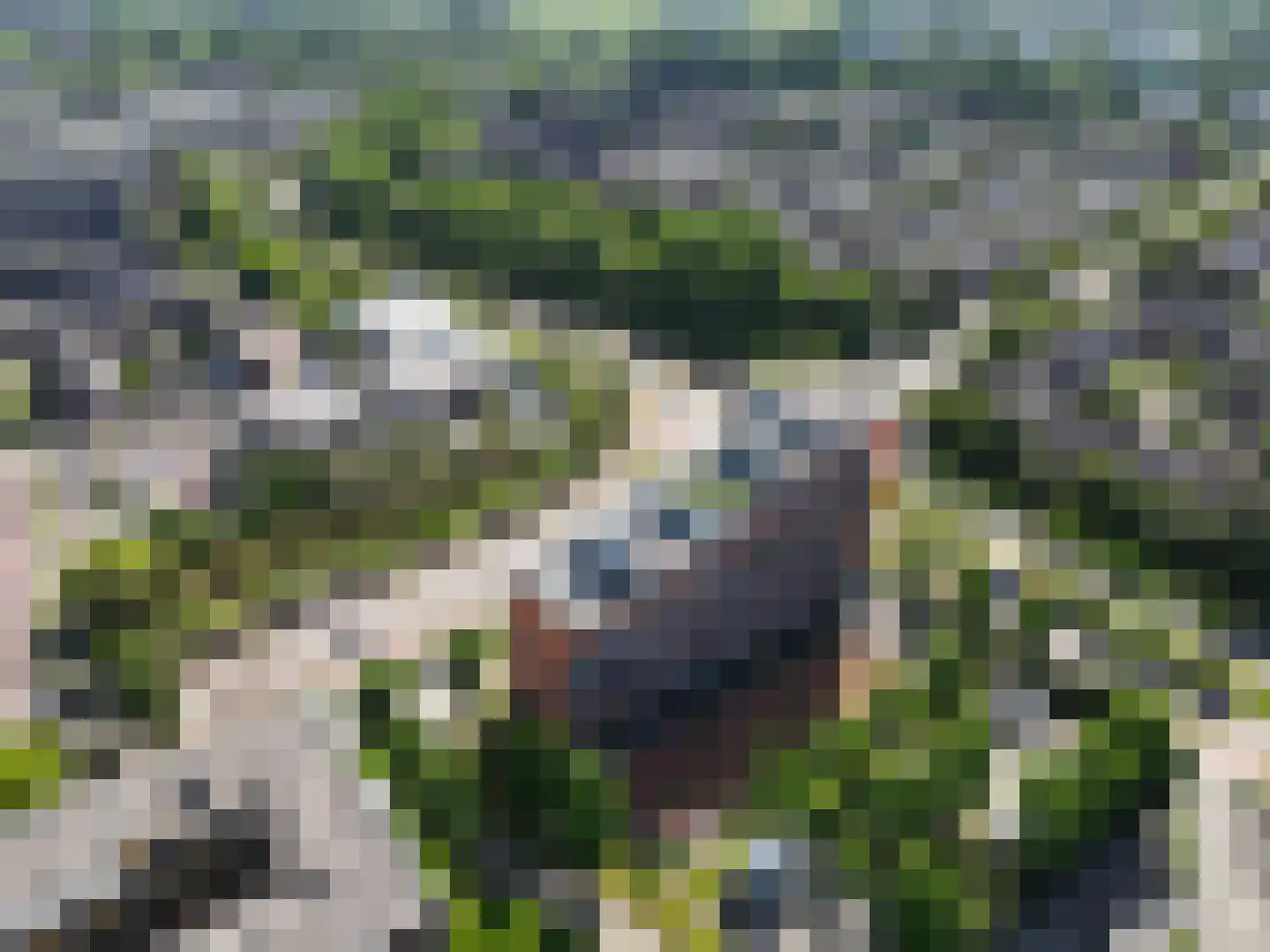 De Hoven 103 Heemskerk thumbnail 46