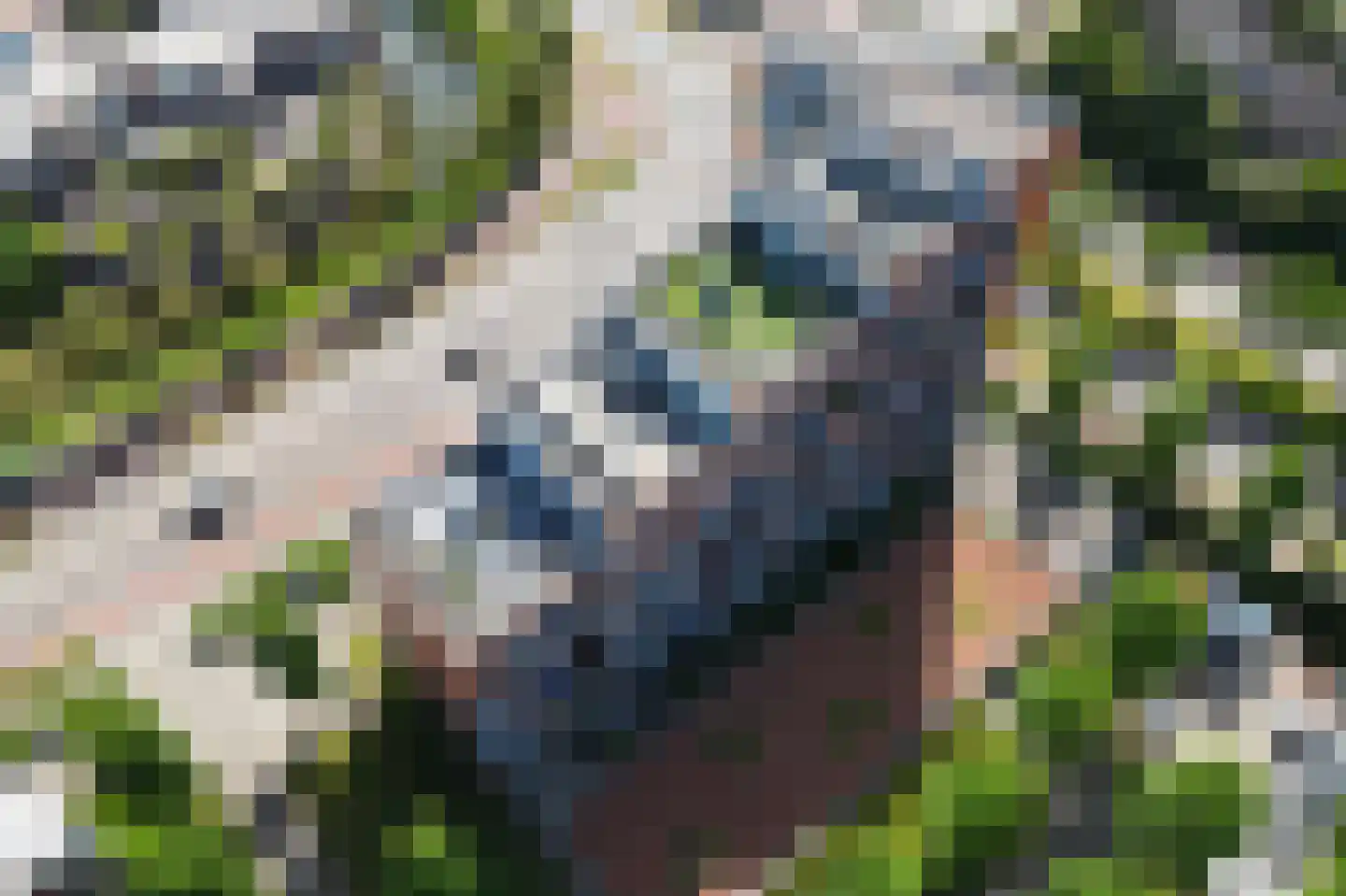 De Hoven 103 Heemskerk thumbnail 49