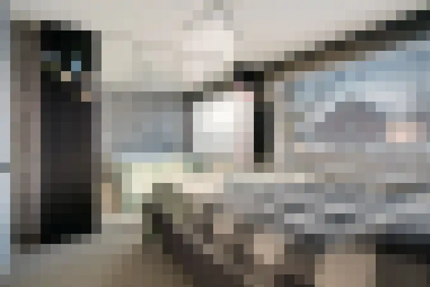 De Hoven 16 Zwartemeer thumbnail 17