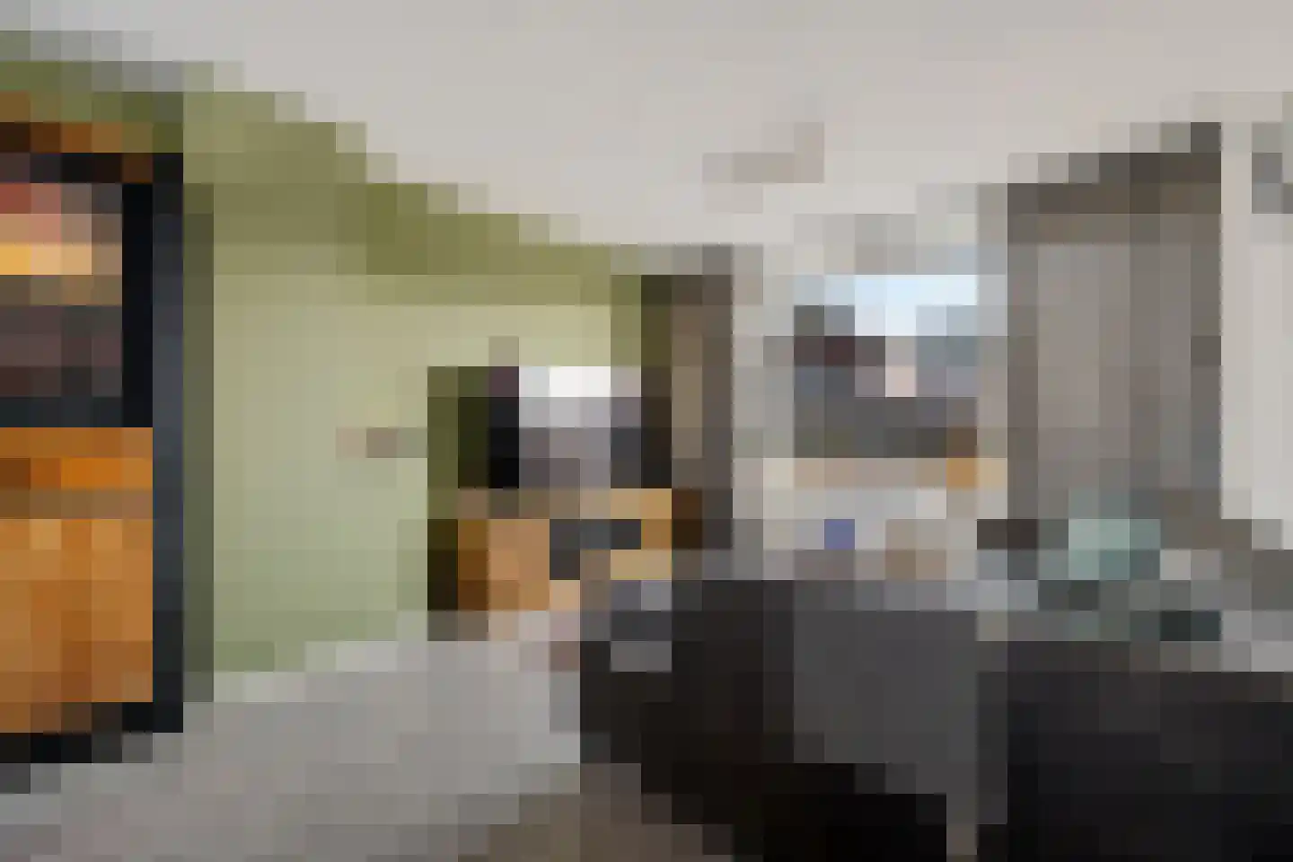 De Hoven 16 Zwartemeer thumbnail 8