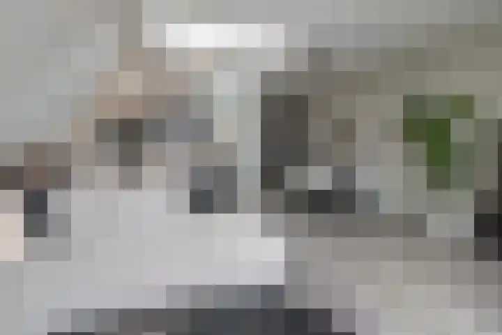 De Hoven 26 Barneveld thumbnail 12