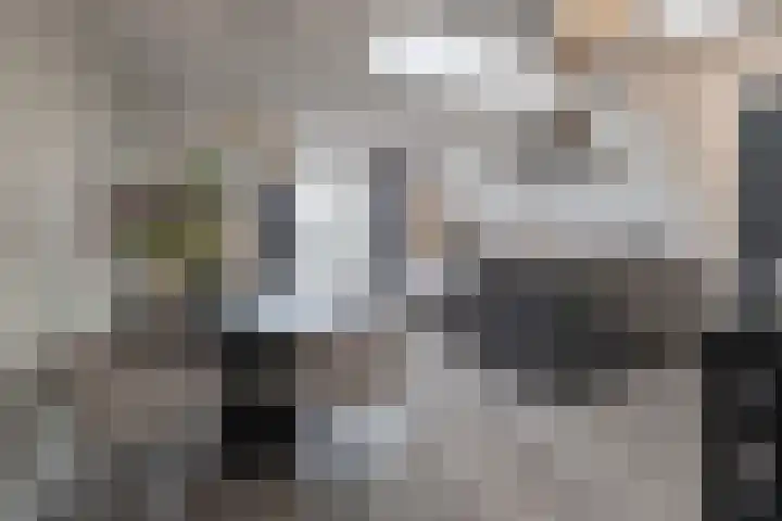 De Hoven 26 Barneveld thumbnail 5