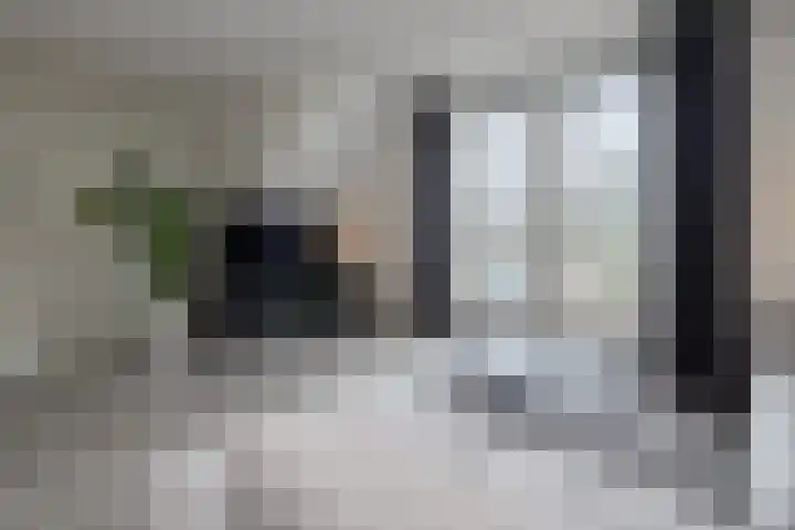 De Hoven 26 Barneveld thumbnail 7