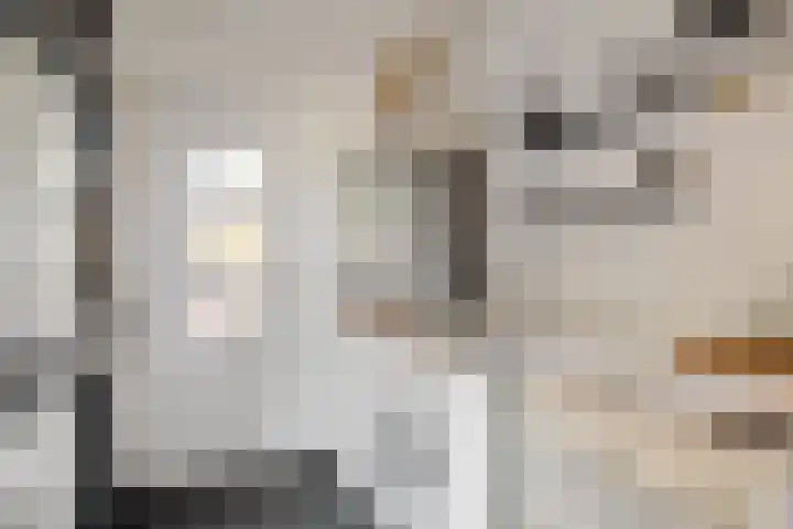 De Hoven 26 Zwartemeer thumbnail 14