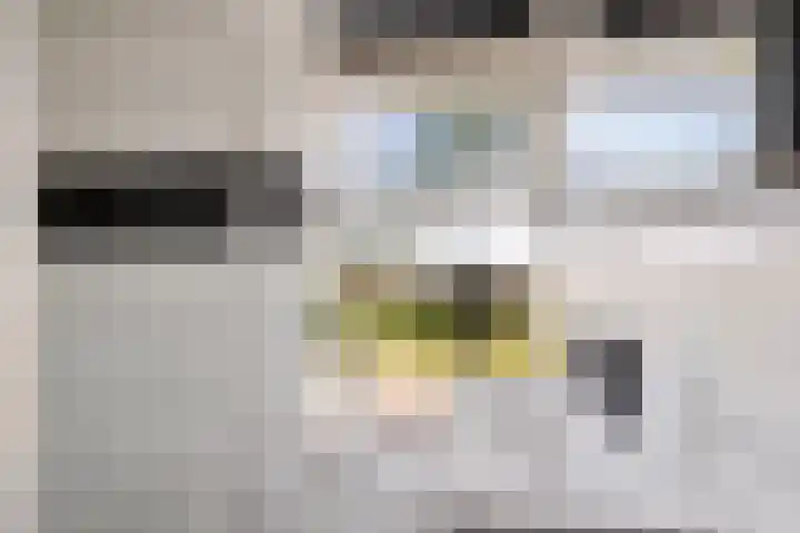 De Hoven 26 Zwartemeer thumbnail 23